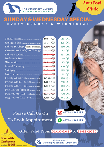 Promotion Flyer.png