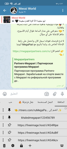 Screenshot ٢٠٢٥ ٠٩ ٣٠ ١٦ ٥١ ٣٥ ٩٨١ org.thunderdog.challegram.jpg