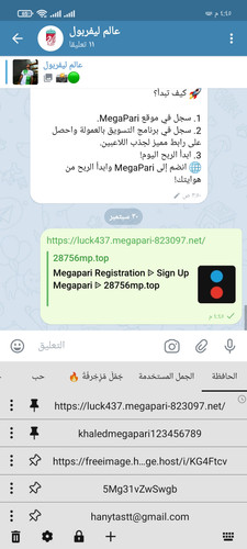 Screenshot ٢٠٢٥ ٠٩ ٣٠ ١٦ ٤٥ ٠٢ ٦٦٩ org.thunderdog.challegram.jpg