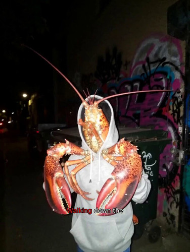 oO4Sc1JEafkQ2yVV.jpg