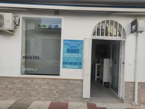 AF1QipPymDGPC8M0jO6jrWVu2QcXUKFqGz2jYX3qqMFj=s680 w680 h510 rw.webp