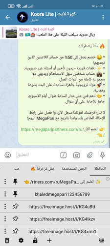Screenshot ٢٠٢٥ ٠٩ ٣٠ ١٦ ٥١ ٠٩ ٣٩٦ org.thunderdog.challegram.jpg