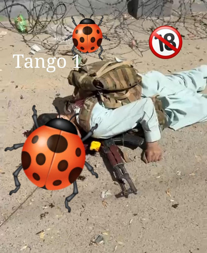 G2FE1RNWcAAnf9T.jpg