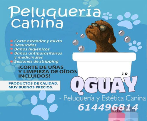 peluqueria canina los corrales.jpg