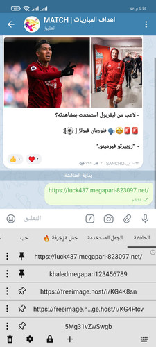 Screenshot ٢٠٢٥ ٠٩ ٣٠ ١٦ ٤٥ ٣٢ ٠٥٥ org.thunderdog.challegram.jpg