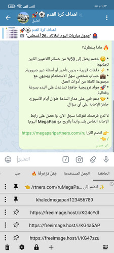 Screenshot ٢٠٢٥ ٠٩ ٣٠ ١٦ ٥٣ ٤٥ ٠١١ org.thunderdog.challegram.jpg