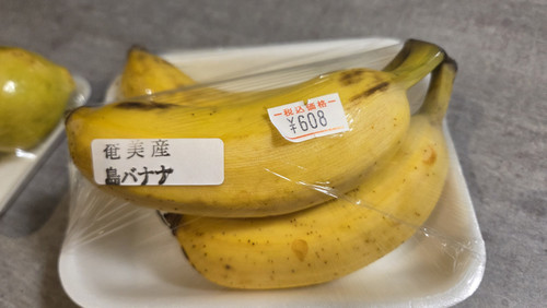 1000007751.jpg