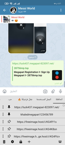 Screenshot ٢٠٢٥ ٠٩ ٣٠ ١٦ ٤٦ ٠١ ٣٧٢ org.thunderdog.challegram.jpg
