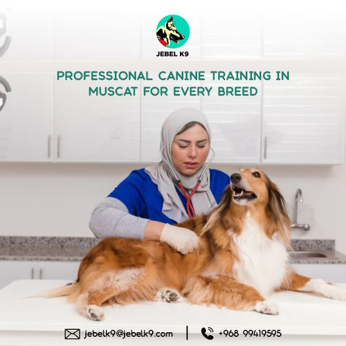 Professional Canine Training in Muscat for Every Breed.jpg