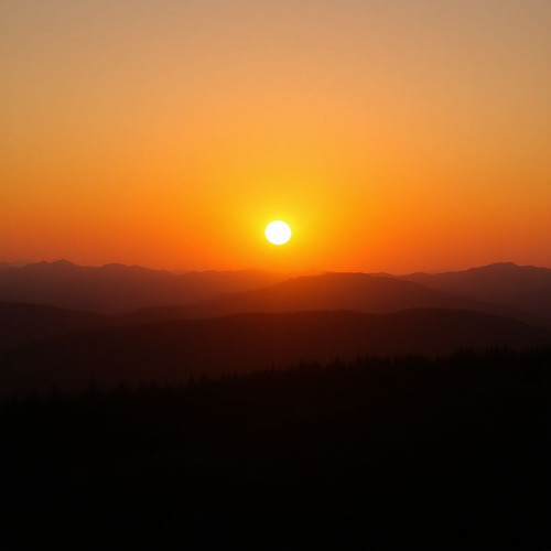 79a7df04a972.jpg