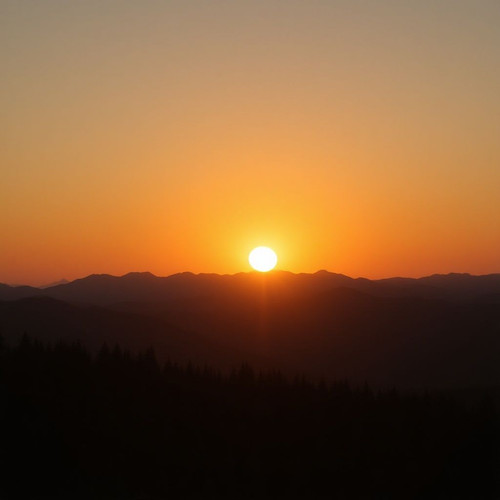 cc34c46dff05.jpg