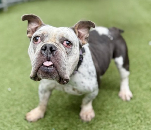 G1ZdWqWWAAAzI J?format=jpg.jpg