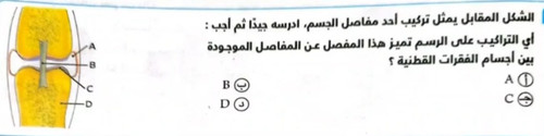 5914867055bc.jpg