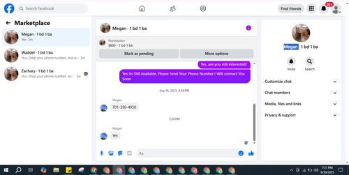 7.png