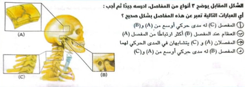 f042deef5df4.jpg