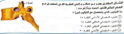 517684302f56.jpg