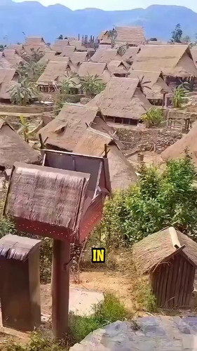 HfQzbGCBxzzgS2yt.jpg
