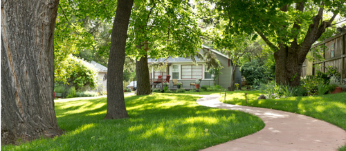 Tree Service Barrie | Westreeservice.com.png