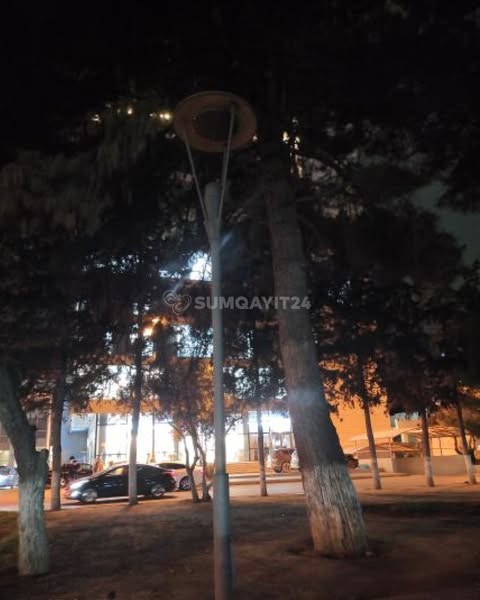 556139970 836139388769369 5762362732261701893 n.jpg?stp=dst jpg s600x600 tt6& nc cat=105&ccb=1 7& nc.jpg