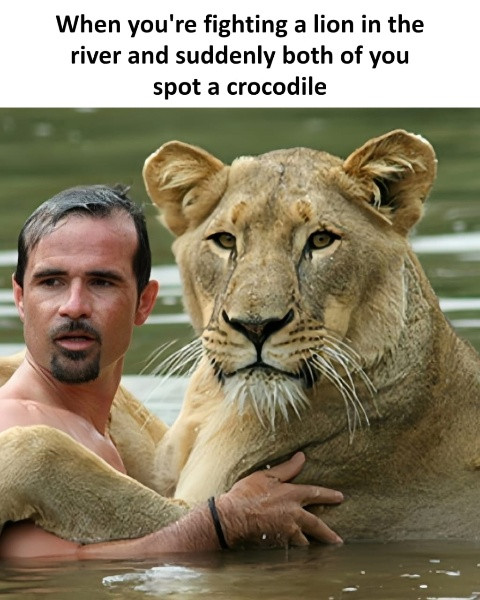 557614190 1320145852909268 4479113851550331806 n (1).jpg