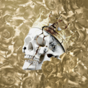 fd8503f441d4.png