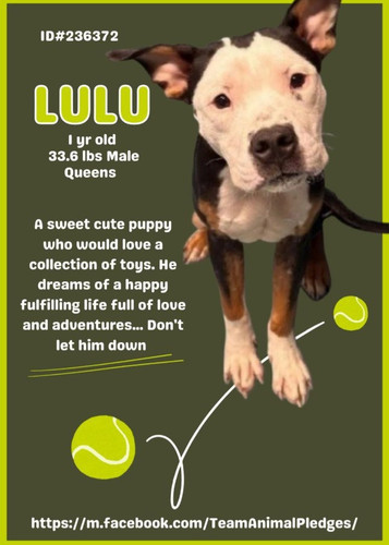 G1Il KpbcAA8iII?format=jpg.jpg