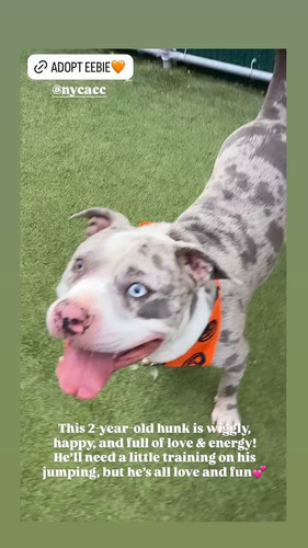 y TXKcBY 74sW7RS.jpg