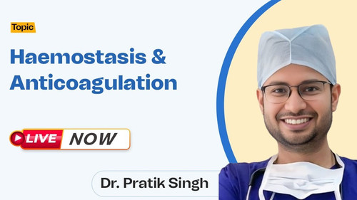 WhatsApp Image 2025 09 30 at 10.48.41 AM.jpg