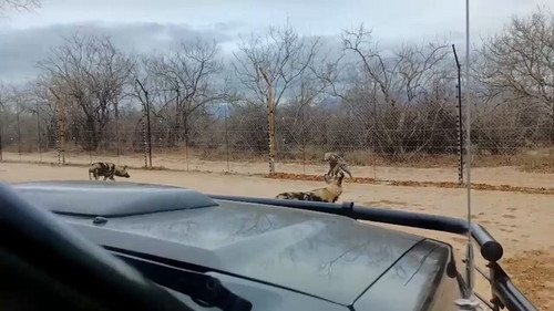 d2 HYPTYb5I4JK2Q.jpg