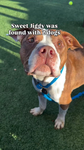 4KCjbdblKyk FSD4.jpg