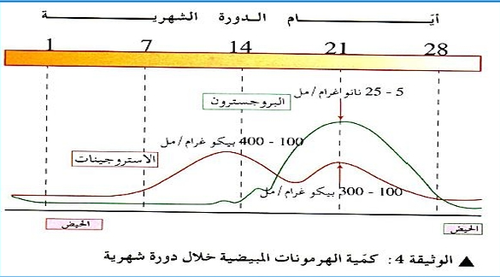 screenshot 1759169734679.png