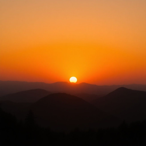 7a832c836096.jpg