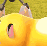 mmexport1759215265354.gif