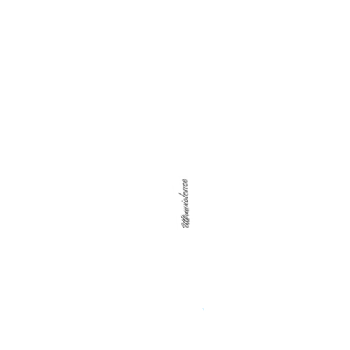 IMG 5448.png