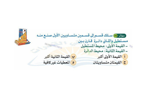 photo 5972178160420244295 x.jpg