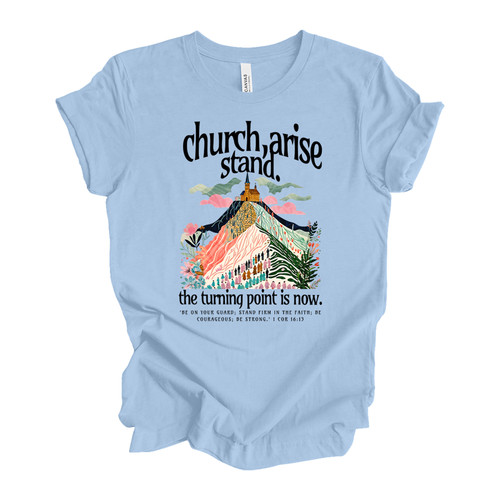 tscchrcharise black BABY BLUE.jpg