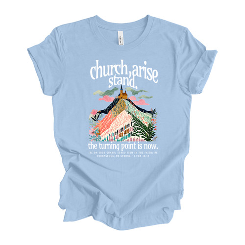 tscchrcharise white BABY BLUE.jpg