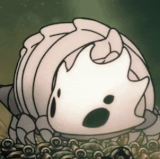 IMG 5242.gif