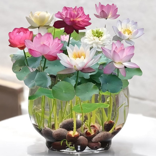 71T77tu6epL. SL1500 .jpg