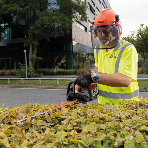 486160203 1195127602399017 4625358198366800281 n.jpg