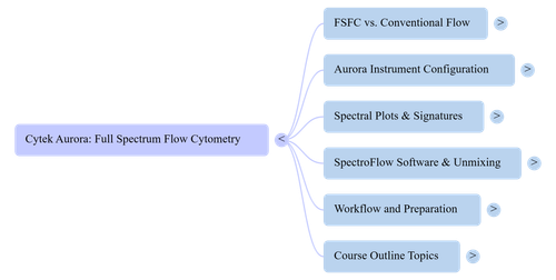 NotebookLM Mind Map.png