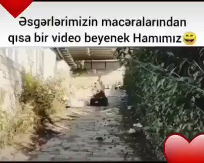 DZtXEaKVrZpEZ9ka.jpg