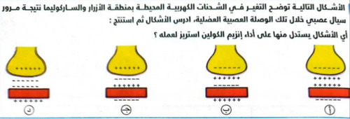 81713de3704e.png
