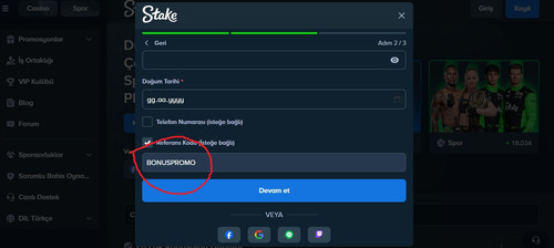 stakee8.jpg