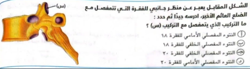 f7fe1f986c85.png