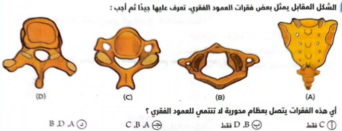 c6f26888211f.png