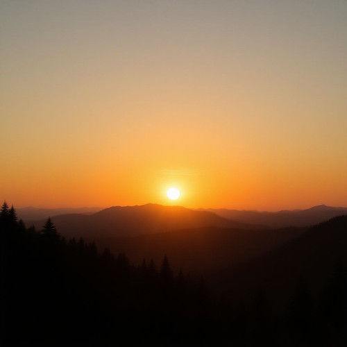 c335c05e030a.jpg