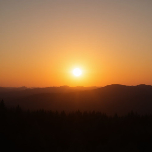 50f4e7bc6679.jpg