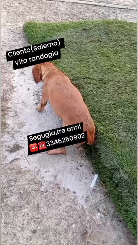 l6wNourORxR18tNW.jpg