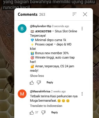 Screenshot 273.jpg